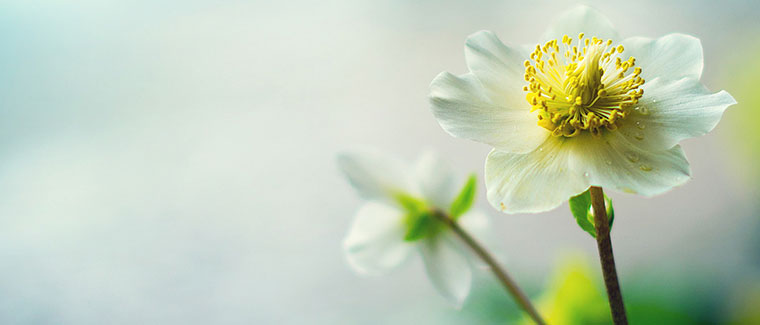 ����������л���