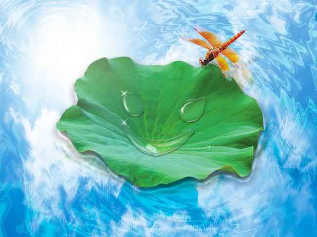 ������Լ����һ������